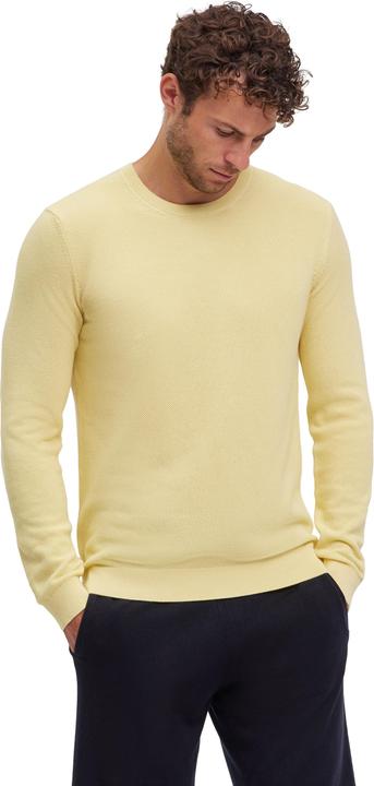 Falke Herren Pullover (L)