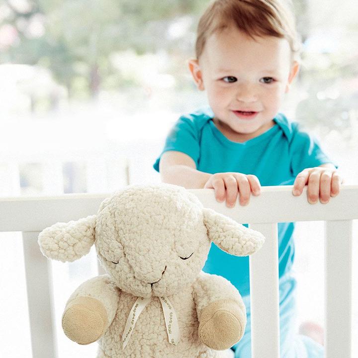 Image du produit Cloud B Sleep Sheep on the go (CB7302-ZZ)