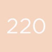 Actual product image Diego dalla Palma Geisha Lifting Fond de Teint No 220 (220)