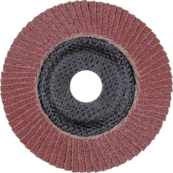 Actual product image Pferd Polifan A-Plus flap discs (80)