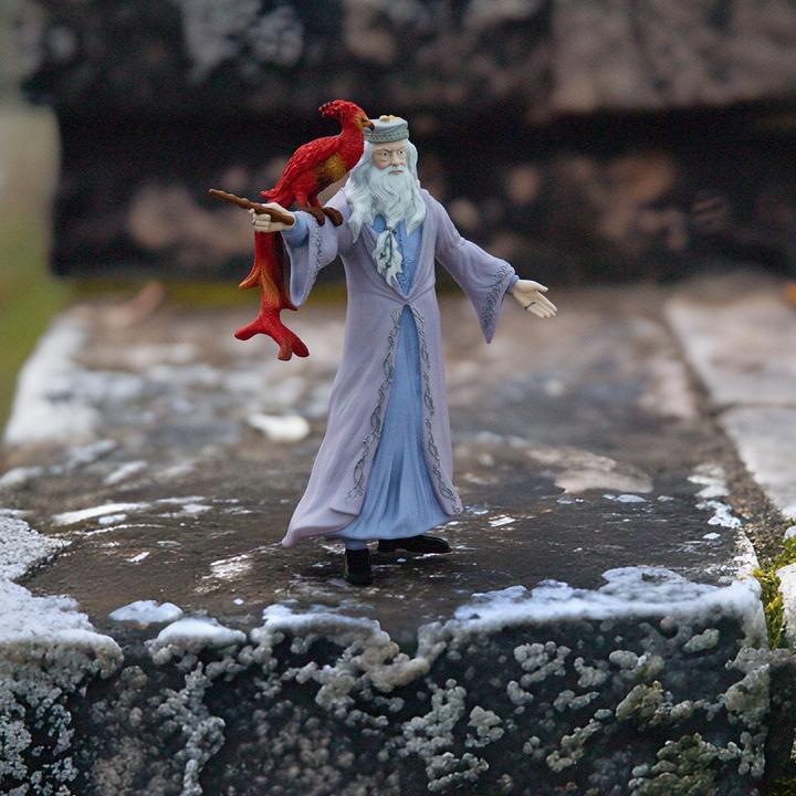 Produktbild Schleich Dumbledore & Fawkes