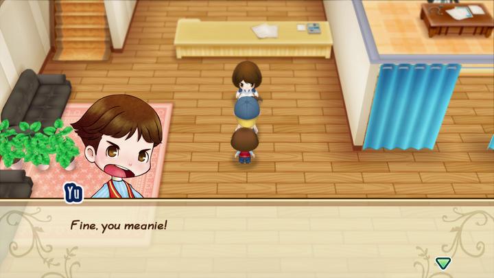 Produktbild Marvelous Story of Seasons : Friends of Mineral Town (Switch, FR)