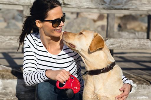 Image du produit Flexi New Classic (L, Chien, Promenade)