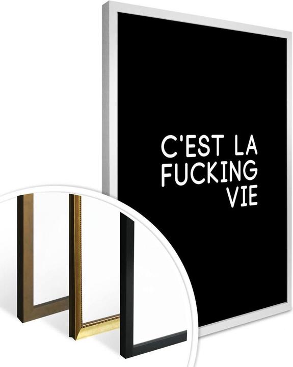 Image du produit Trenddeko C'est la fucking vie (40 x 50 cm)