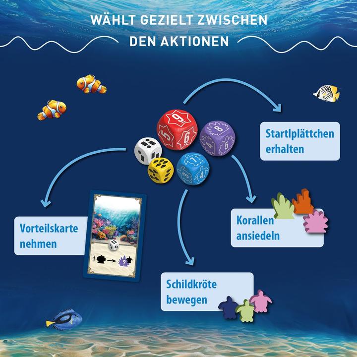 Produktbild Kosmos Australis (Deutsch)