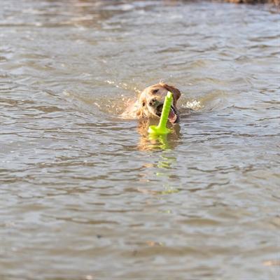 Actual product image Trixie Dog Activity Mot-Aqua 29cm (Ball toy dog)