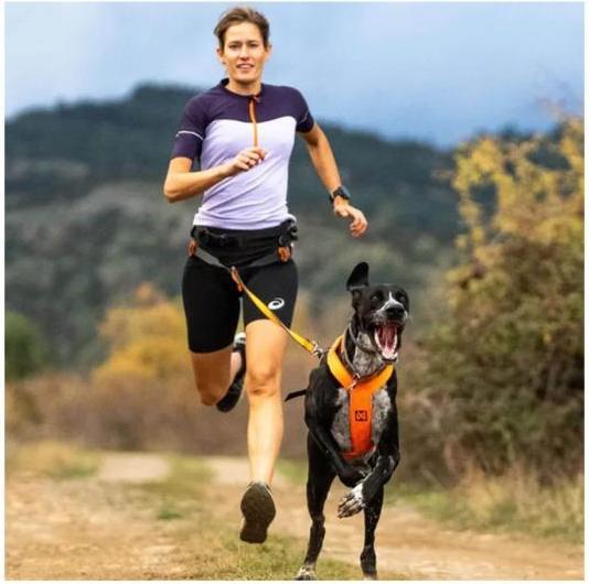 Productafbeelding Non-Stop Dogwear Freemotion Harnas 5.0 (XXL, Hond, Algemeen)