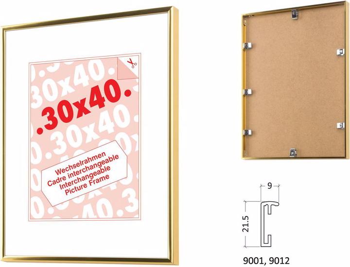 Actual product image Debex Framing system (21 x 29.7 cm)