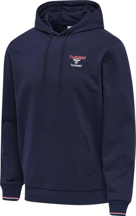Actual product image hummel Ic Dayton Hoodie (L)