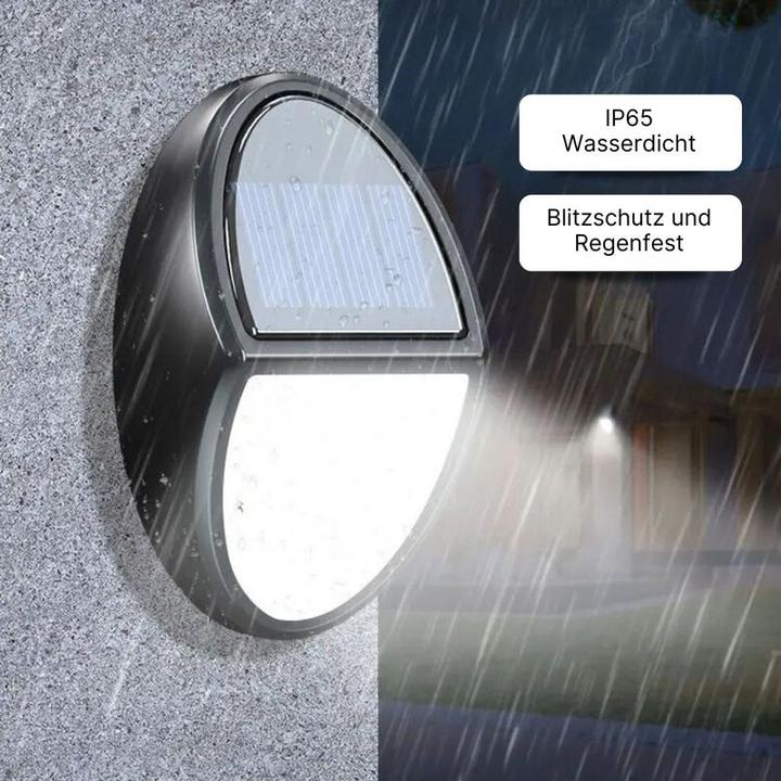 Actual product image Hermex LED solar façade lighting garden light outdoor light wall light (30 lm, IP65)
