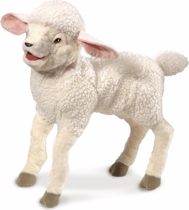 Actual product image Folkmanis lamb