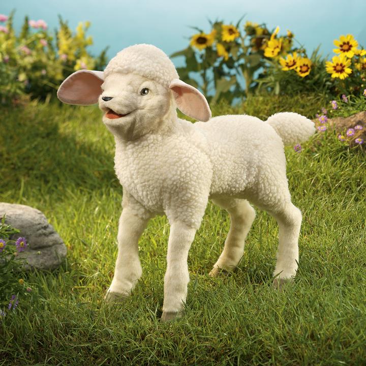 Actual product image Folkmanis lamb