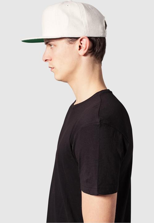 Actual product image Flexfit Snapback (One size)