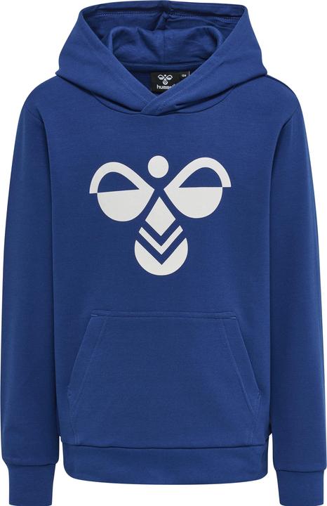 hummel Cuatro Hoodie (104)
