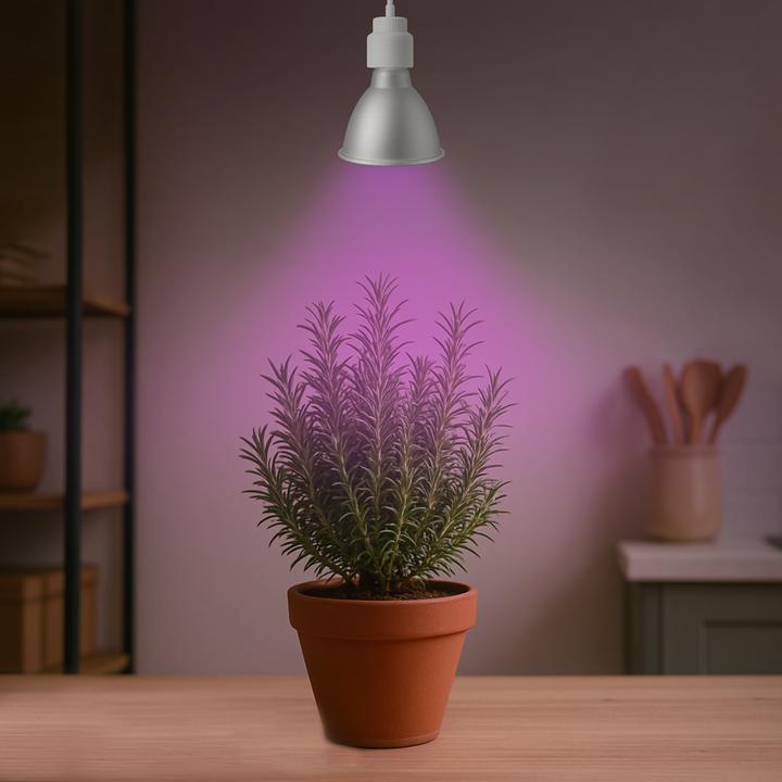Actual product image Venso EcoSolutions E27 "Cultura" plant lamp 15W 60 °, improved photosynthesis and higher chlorophyll (LED)