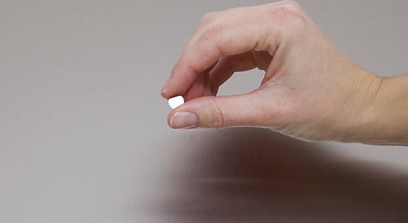 Actual product image Maul Neodymium magnet (10 x)