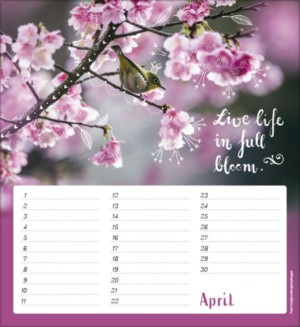 Immagine prodotto Calendario dei compleanni A piedi nudi nel cuore (Copertina rigida, Tedesco)