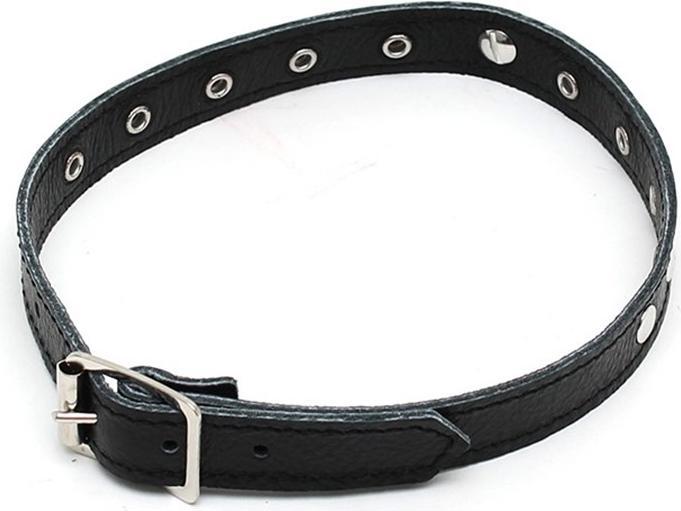 Produktbild Rimba Nieten-Halsband