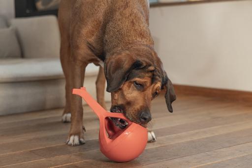 Actual product image Beeztees Rubber dog toy Wiggle-X (Dog chew toy)