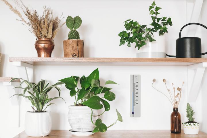 Produktbild TFA Innenthermometer