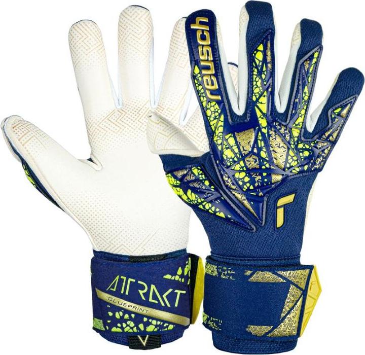 premium blue/gold