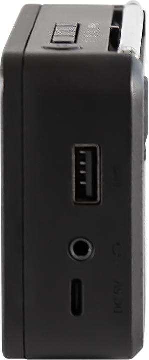 Actual product image Telestar TOP 100 sw portables Radio DAB+/UKW,Bluetooth,USB,Akku (FM, DAB+, Bluetooth)