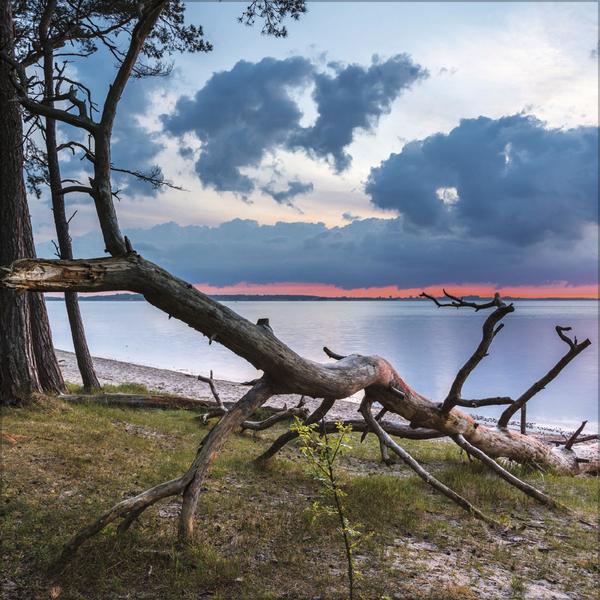Actual product image Meerblicke - Nord- und Ostsee 2026 (30 x 30 cm, Hardcover, French, English)