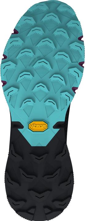 Produktbild Dynafit Ultra 100 GTX Laufschuh (38)
