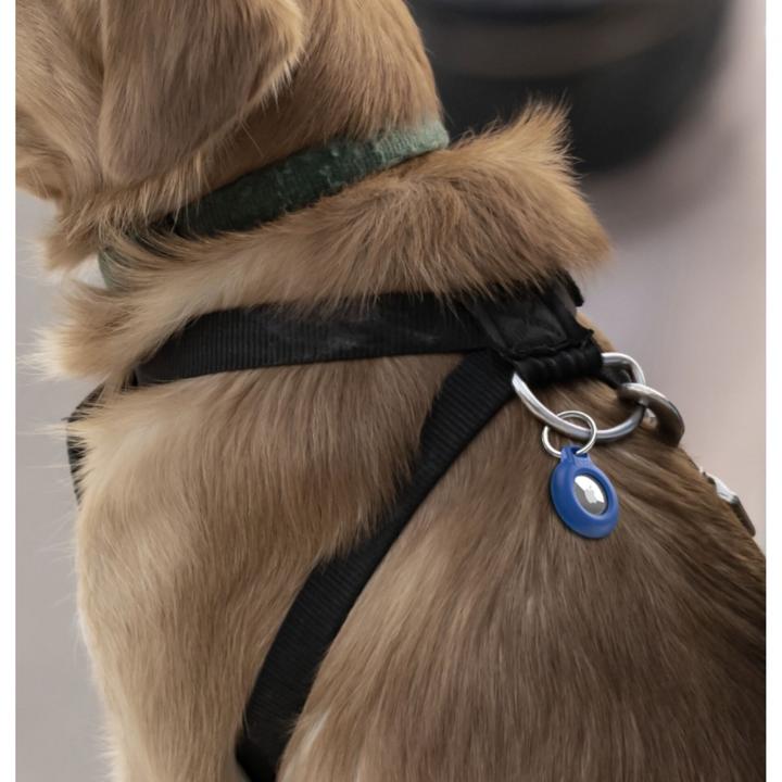Actual product image Belkin AirTag Schlüsselanhänger wasserfest