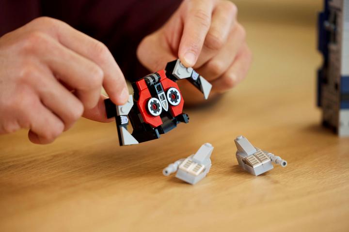 Actual product image LEGO 10358 Confidential (10358, LEGO Icons)
