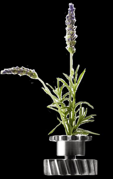 Produktbild Gaultier Ultra Mâle (Eau de Toilette, 125 ml)