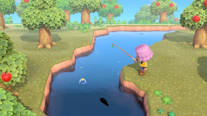 Actual product image Nintendo Animal Crossing: New Horizons (Switch, DE)