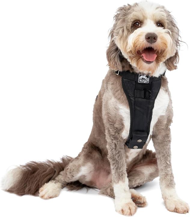 Image du produit Ruffwear Harnais pour chien Web Master red Taille Tour de poitrine (L, Chien, Général)