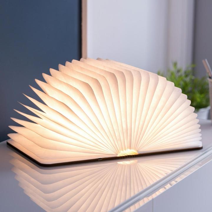 Actual product image Gingko smart book