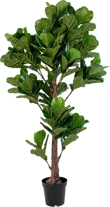 Produktbild House Nordic Fiddle (190 cm)