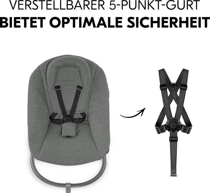 Produktbild Hauck Alpha Bouncer