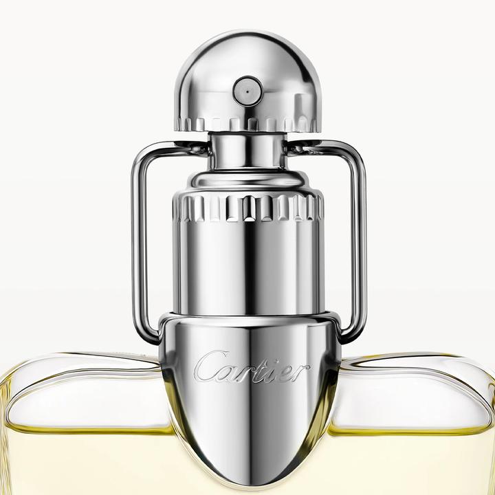 Immagine prodotto Cartier Declaration (Eau de toilette, 100 ml)