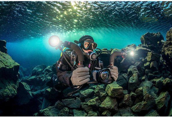Produktbild Sealife Flex & Connect Flex Arm
