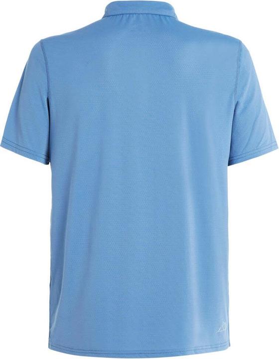 Actual product image Protest Polo Prtcanei (L)