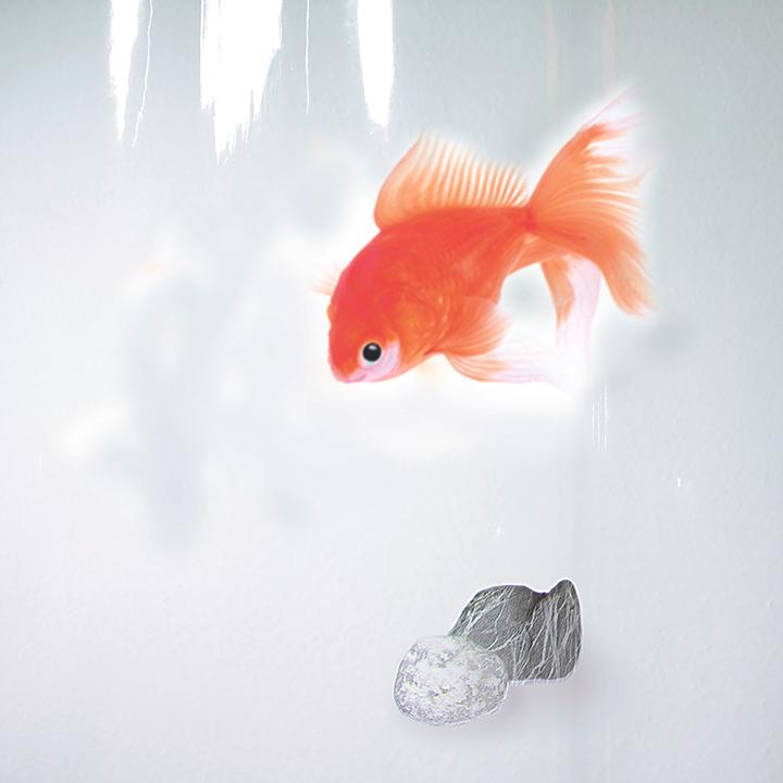 Produktbild spirella Goldfish (180 x 200 cm)