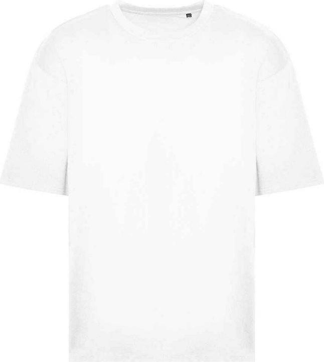 Actual product image Awdis 100 TShirt (L)