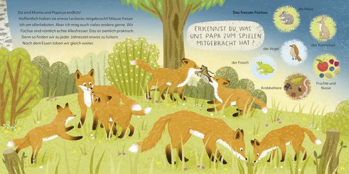 Image du produit Vous me connaissez? Je suis un renard! (Allemand, Sandra Kissling, Andrea Weller-Essers, 2024)