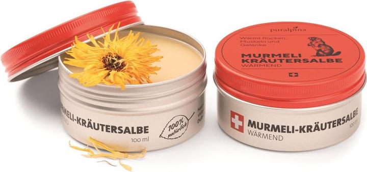 Produktbild Puralpina Murmeli Kräutersalbe (1 x, 50 ml, 60 g)