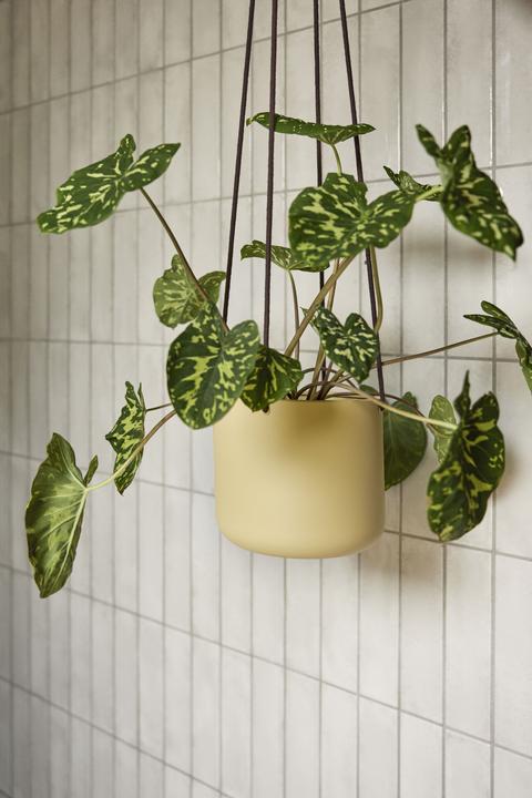 Produktbild Hübsch Bloom (25 cm)