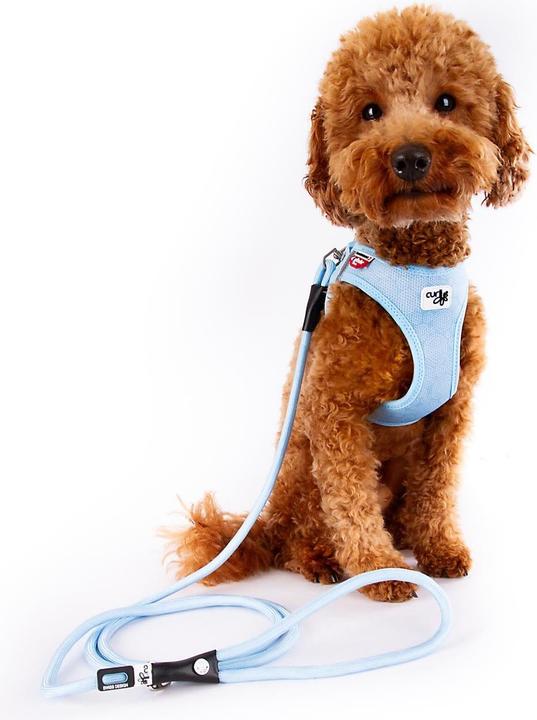 Produktbild Curli Geschirr Vest Air-Mesh XL SE24, Airblue (XL, Hund, Spazieren)