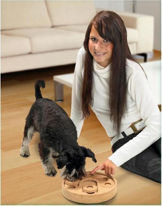 Actual product image Karlie doggy brain train (Intelligence toy dog)