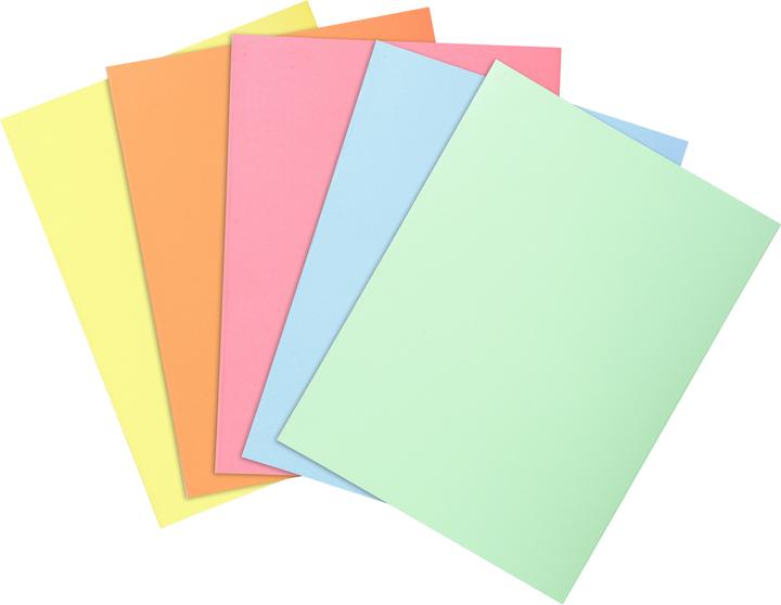 Image du produit Exacompta Fardes de classement - Couvertures de dossiers (A4, 250 x)
