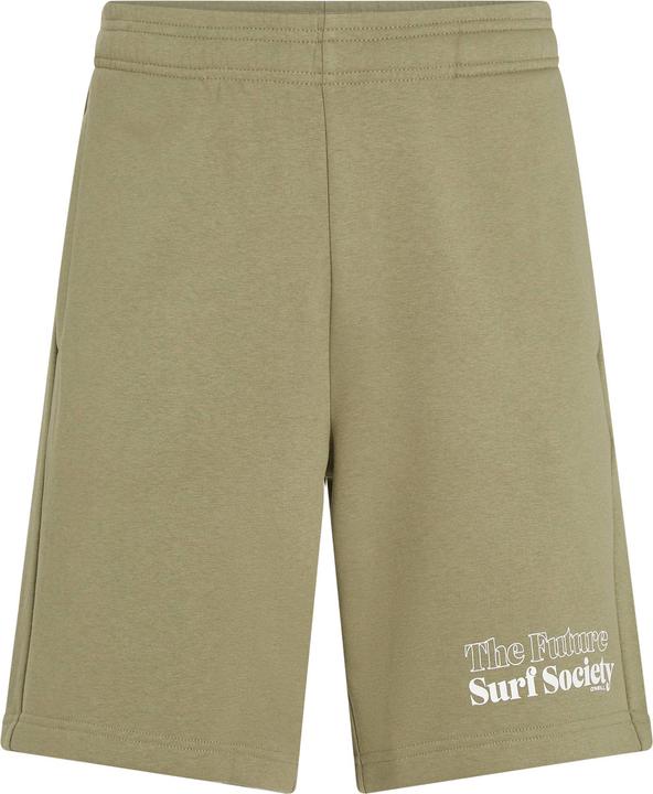 Actual product image O'Neill The Future Surf Society Shorts (M)
