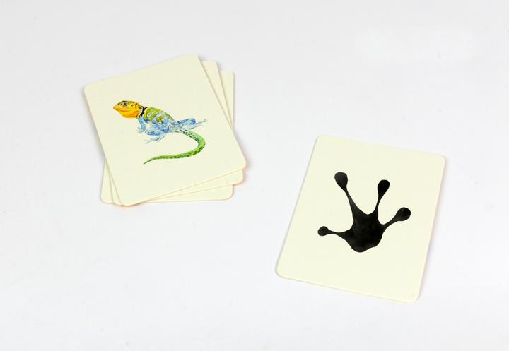 Image du produit Memory Memory Sur les traces des animaux sauvages (Allemand)