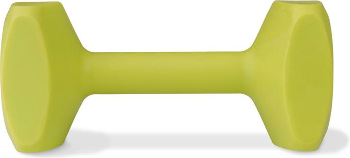 Image du produit Company of Animals Coachi Training Dumbbell (Apporter)
